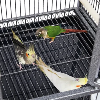 Yaheetech Cage à Oiseaux Double