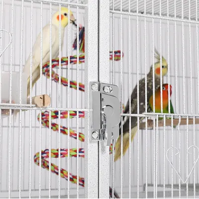 Cage à Oiseaux En Métal Hauteur De 175 Cm Avec Toit Volière Cage à Oiseaux En Métal Hauteur De 175 Cm Avec Toit Volière