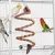 Cage à Oiseaux En Métal Hauteur De 175 Cm Avec Toit Volière Cage à Oiseaux En Métal Hauteur De 175 Cm Avec Toit Volière