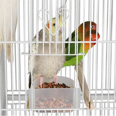 Cage à Oiseaux En Métal Hauteur De 175 Cm Avec Toit Volière Cage à Oiseaux En Métal Hauteur De 175 Cm Avec Toit Volière