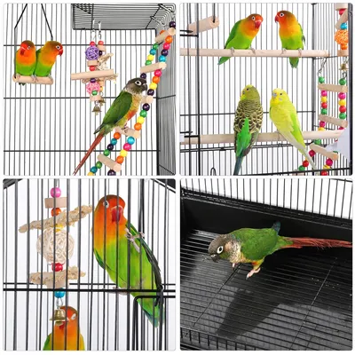 Vogelkäfig Wellensittichkäfig Vogelbauer Vogelvolieren Vogelspielzeug