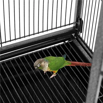 Yaheetech Grande Cage à Oiseaux Roulante