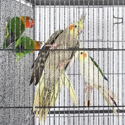 Cage Pour Oiseaux Perroquet Avec Support Roulant Pour Perruche Calopsitte