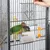 Yaheetech Cage à oiseaux Roulante Yaheetech Cage à oiseaux Roulante