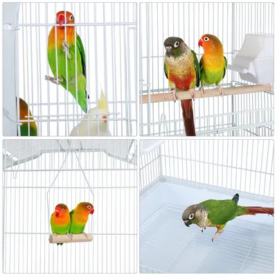 Vogelvoliere Vogelkäfig Vogelhaus Vogelheim Vogelbauer Kanarienvögel
