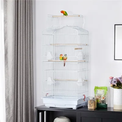 Cage à Oiseaux Décorative En Métal Avec Toit Ouvrable, Balançoire