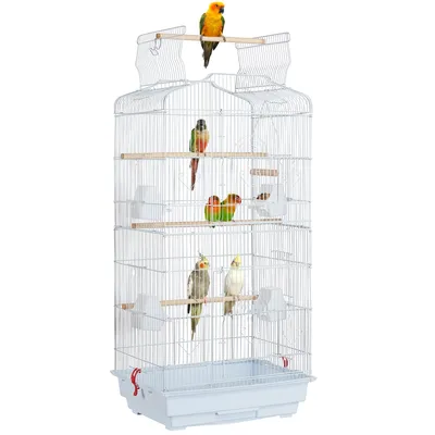 Cage à Oiseaux Décorative En Métal Avec Toit Ouvrable, Balançoire