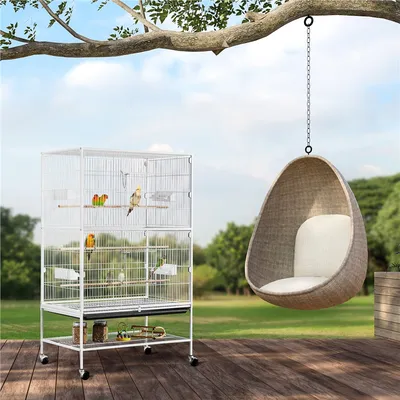 Cage à Oiseaux En Métal Avec Support Roulant, Étagère De Rangement