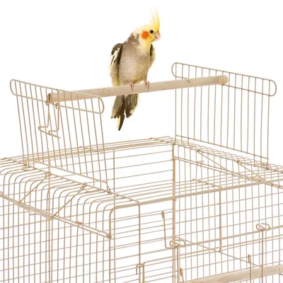 Yaheetech Cage à Oiseaux Décorative en Métal