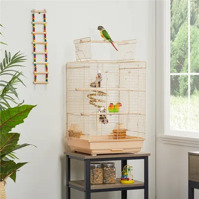 Yaheetech Cage à Oiseaux Décorative en Métal Yaheetech Cage à Oiseaux Décorative en Métal