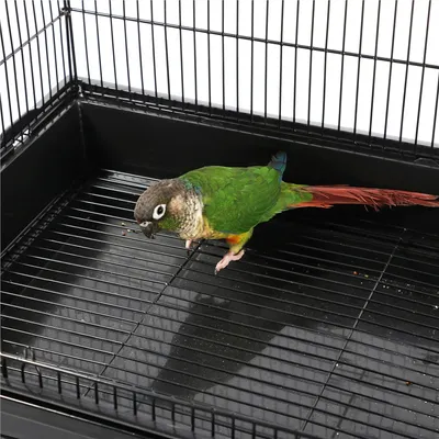 Yaheetech Cage à Oiseaux sur Roulettes Yaheetech Cage à Oiseaux sur Roulettes