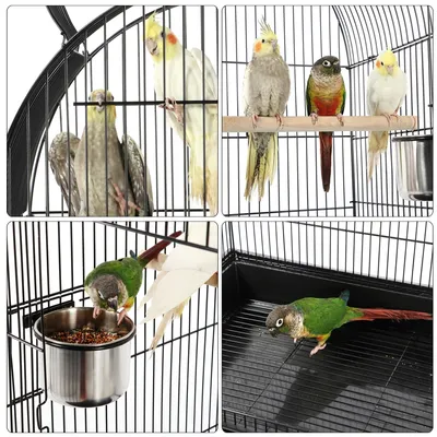 Vogelvoliere Vogelkäfig Voliere Vogelhaus Vogelheim Vogelbauer Tierkäfig