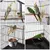 Vogelkäfig wellensittich Vogelvoliere Vogelbauer Vogelhaus mit Sitzstangen