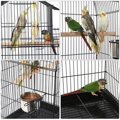 Vogelkäfig wellensittich Vogelvoliere Vogelbauer Vogelhaus mit Sitzstangen