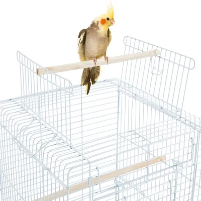 Yaheetech Cage à Oiseaux Décorative en Métal