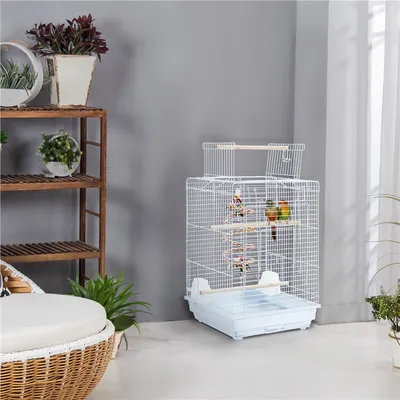 Yaheetech Cage à Oiseaux Décorative en Métal