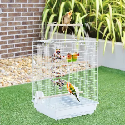 Cage à Oiseaux En Métal Avec Jouet, 3 Perchoirs, 2 Mangeoirs