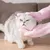 CoolPetGear Gants de massage et de bain