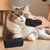 CoolPetGear Peigne pour animaux