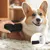CoolPetGear Peigne pour animaux