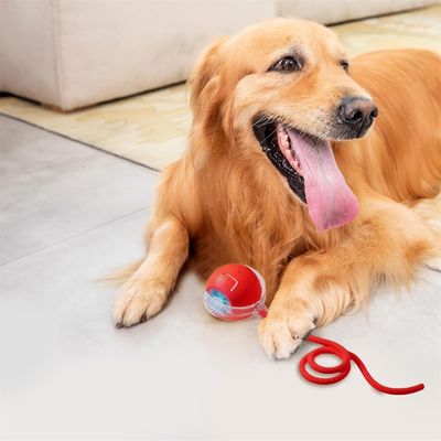 CoolPetGear Balle intelligente pour chat