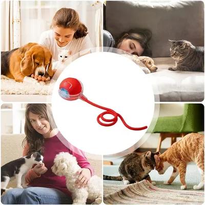 CoolPetGear Balle intelligente pour chat