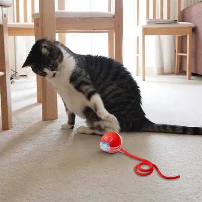 CoolPetGear Balle intelligente pour chat