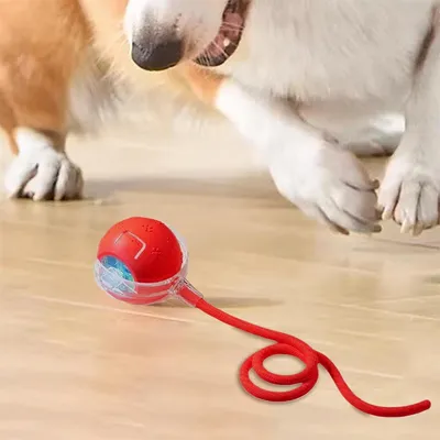 CoolPetGear Balle intelligente pour chat