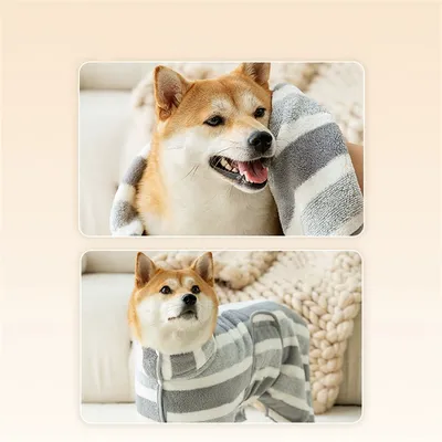 CoolPetGear Serviette de laine de corail pour chien