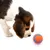 MCBOSON Vollgummi-Hundeball