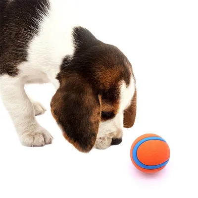 MCBOSON Vollgummi-Hundeball