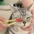 MCBOSON Brosse de nettoyage pour les yeux de chat
