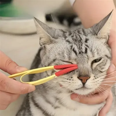 MCBOSON Brosse de nettoyage pour les yeux de chat