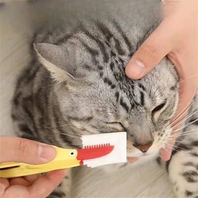 MCBOSON Brosse de nettoyage pour les yeux de chat
