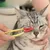 MCBOSON Brosse de nettoyage pour les yeux de chat
