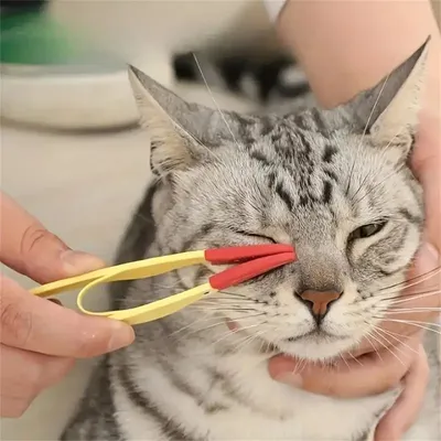 MCBOSON Brosse de nettoyage pour les yeux de chat