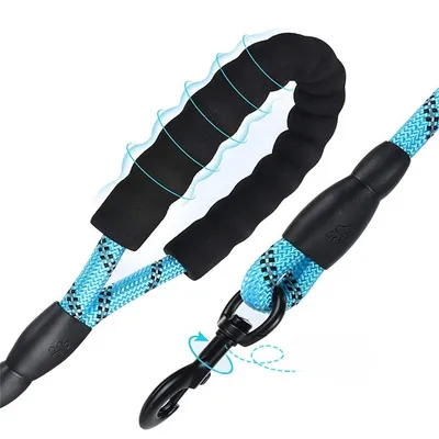 MCBOSON Laisse Reflect pour chien