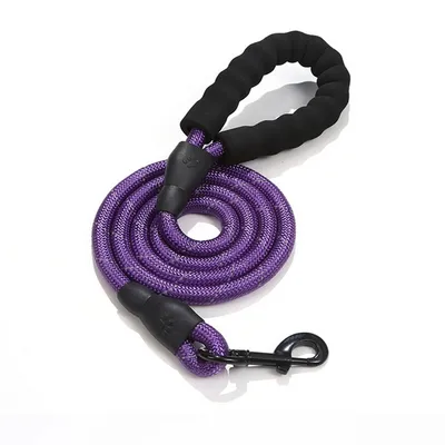 MCBOSON Laisse Reflect pour chien