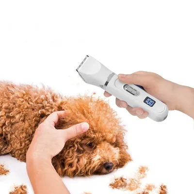 CoolPetGear Kit de soins 4 en 1 pour chats et chiens