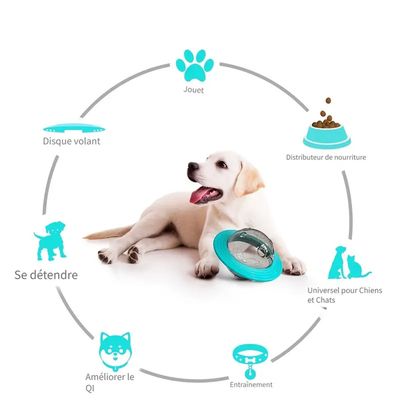 MCBOSON  Jouet interactif pour chien