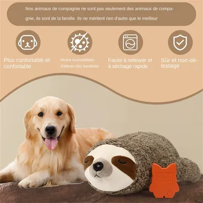 MCBOSON  Peluche paresseux pour chien