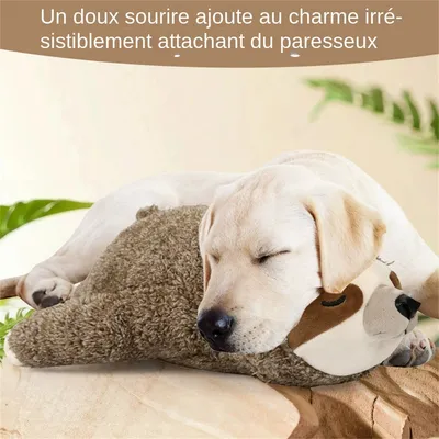 MCBOSON  Peluche paresseux pour chien