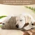 MCBOSON  Peluche paresseux pour chien