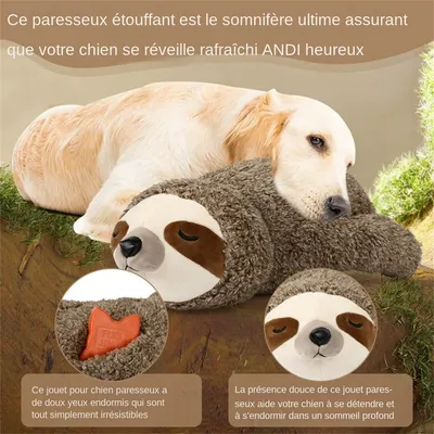 MCBOSON  Peluche paresseux pour chien
