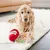 MCBOSON Friandises et jouets pour chiens