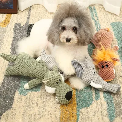 CoolPetGear Jouet couineur pour chien