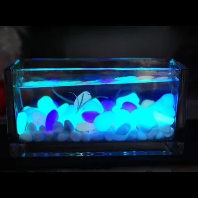 MCBOSON 100 Leuchtsteine ​​für Aquarien
