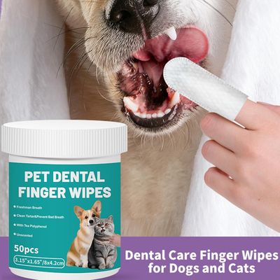 Lingettes nettoyantes dentaires pour chien et chat