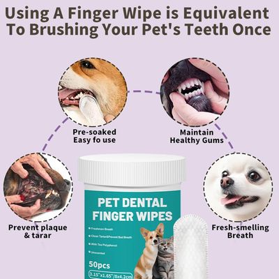 Lingettes nettoyantes dentaires pour chien et chat