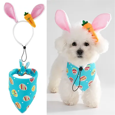 CoolPetGear Ensemble d'Easter pour chiens et lapins